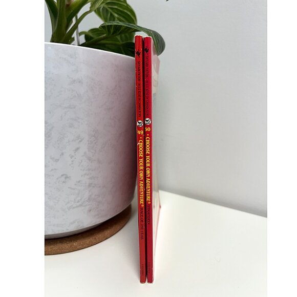 Choose Your Own Adventure Book Bundle: Books #49 & #50 - Reader Level 2 - Picture 3 of 3